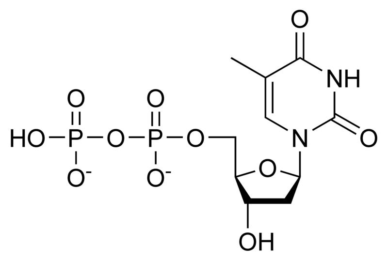 Chemical structure of thymidine diphosphate