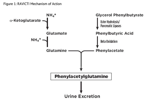 File:Ravicite mechanism of action.png