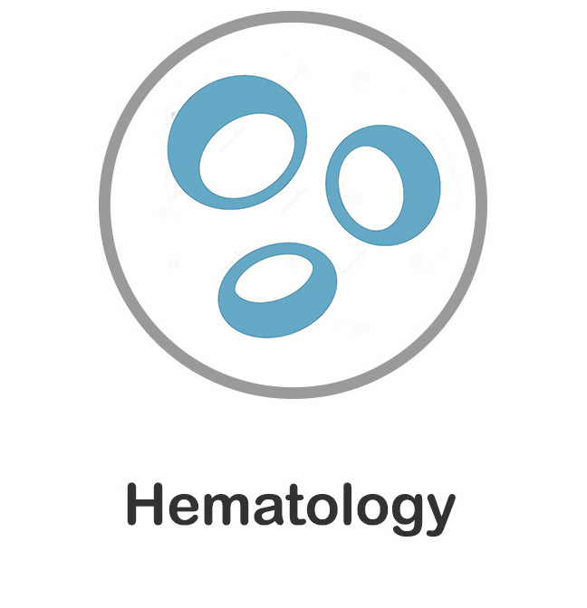 File:Hematology-updatede.jpg