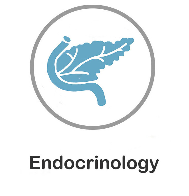 File:Endocrinology-updated.jpg
