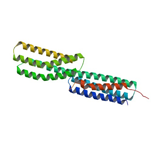 PBB Protein CTNNB1 image.jpg