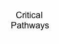 Critical pathways .gif