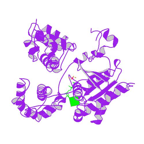 File:PBB Protein GNAT1 image.jpg