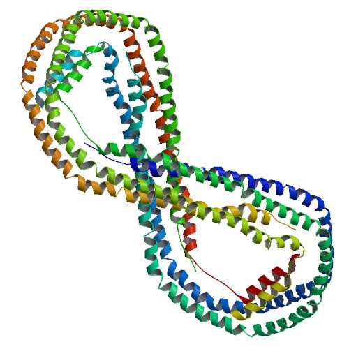 PBB Protein APOA1 image.jpg