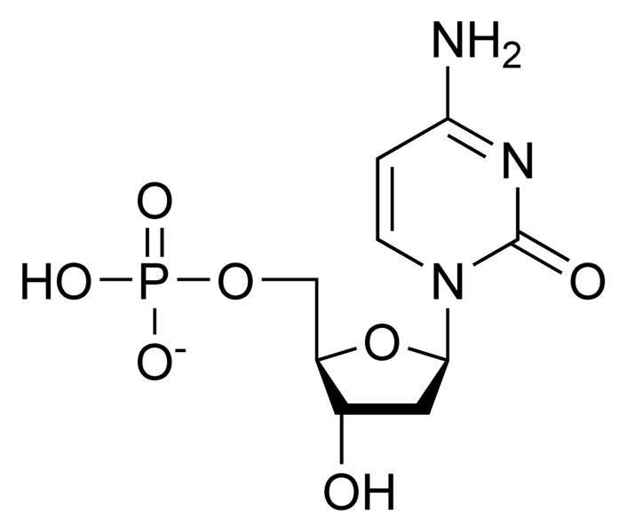 Deoxycytidine monophosphate