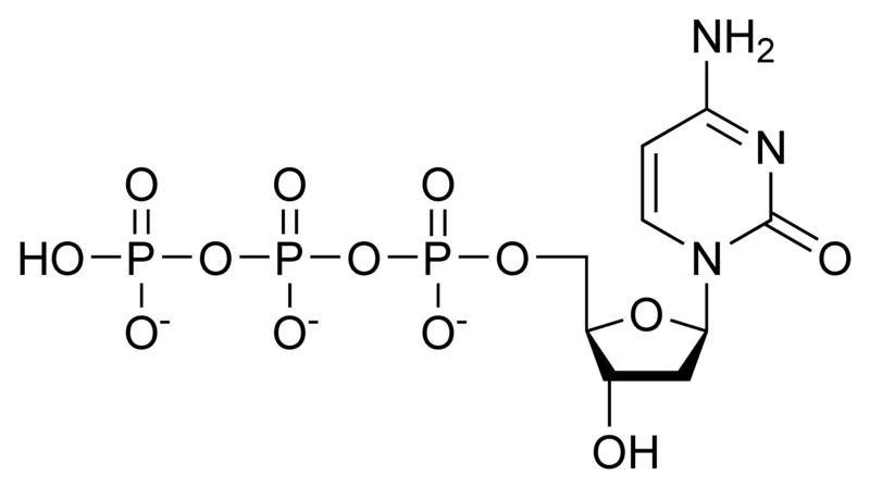 Chemical structure of deoxycytidine triphosphate