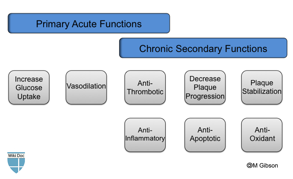 Suggested acute and chronic functions of HDL infusions in the setting of cardiovascular disease