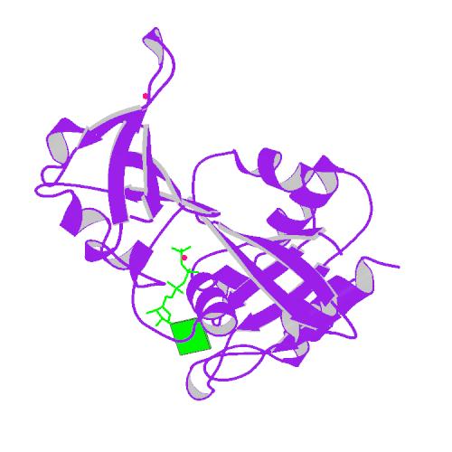 PBB Protein RAF1 image.jpg