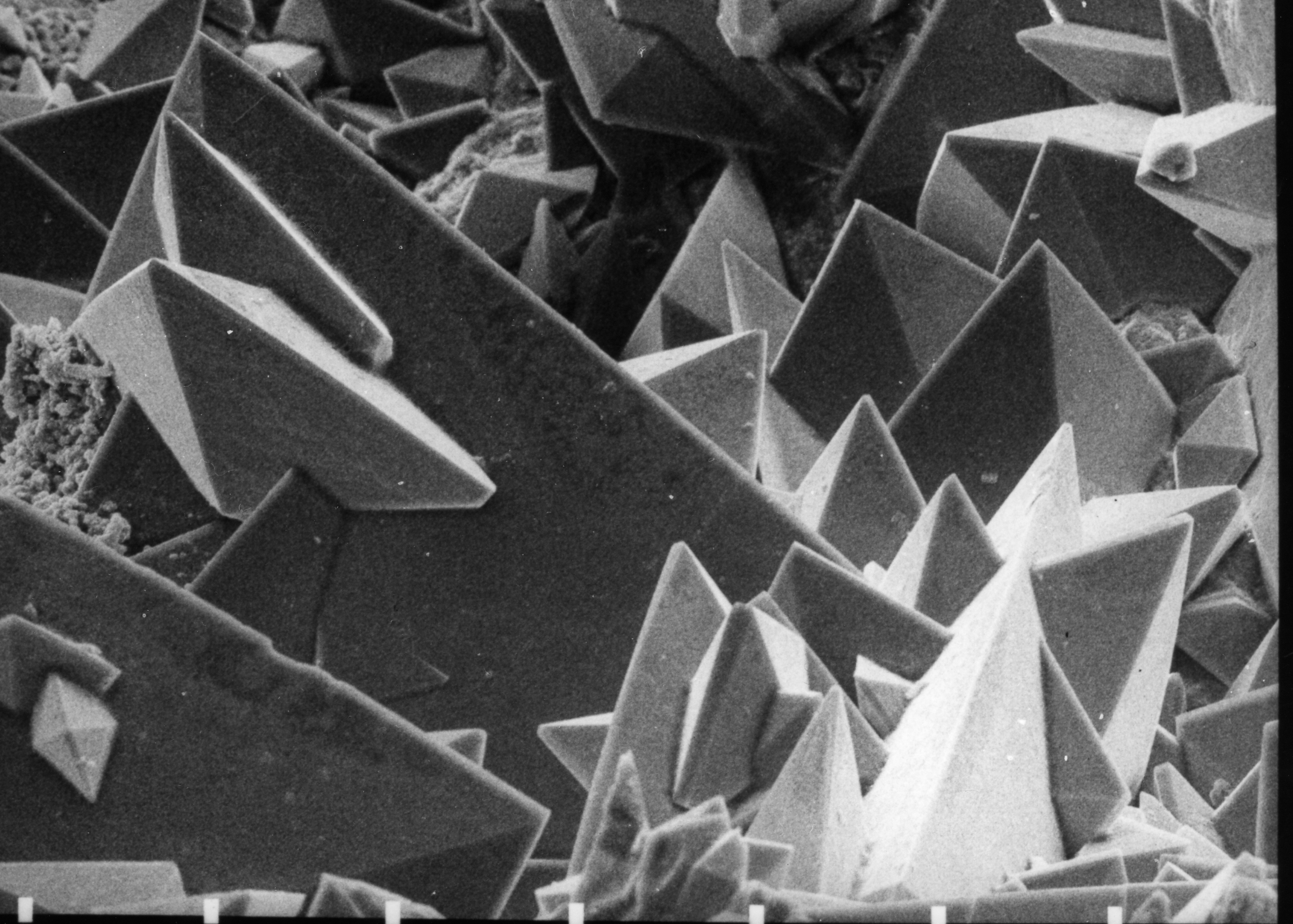Calcium oxalate dihydrate crystals under Scanning Electron Micrograph (SEM) taken at 30 KV. Source: Wikimedia commons[7]