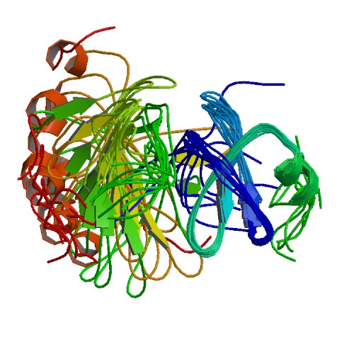 File:PBB Protein CCL3 image.jpg