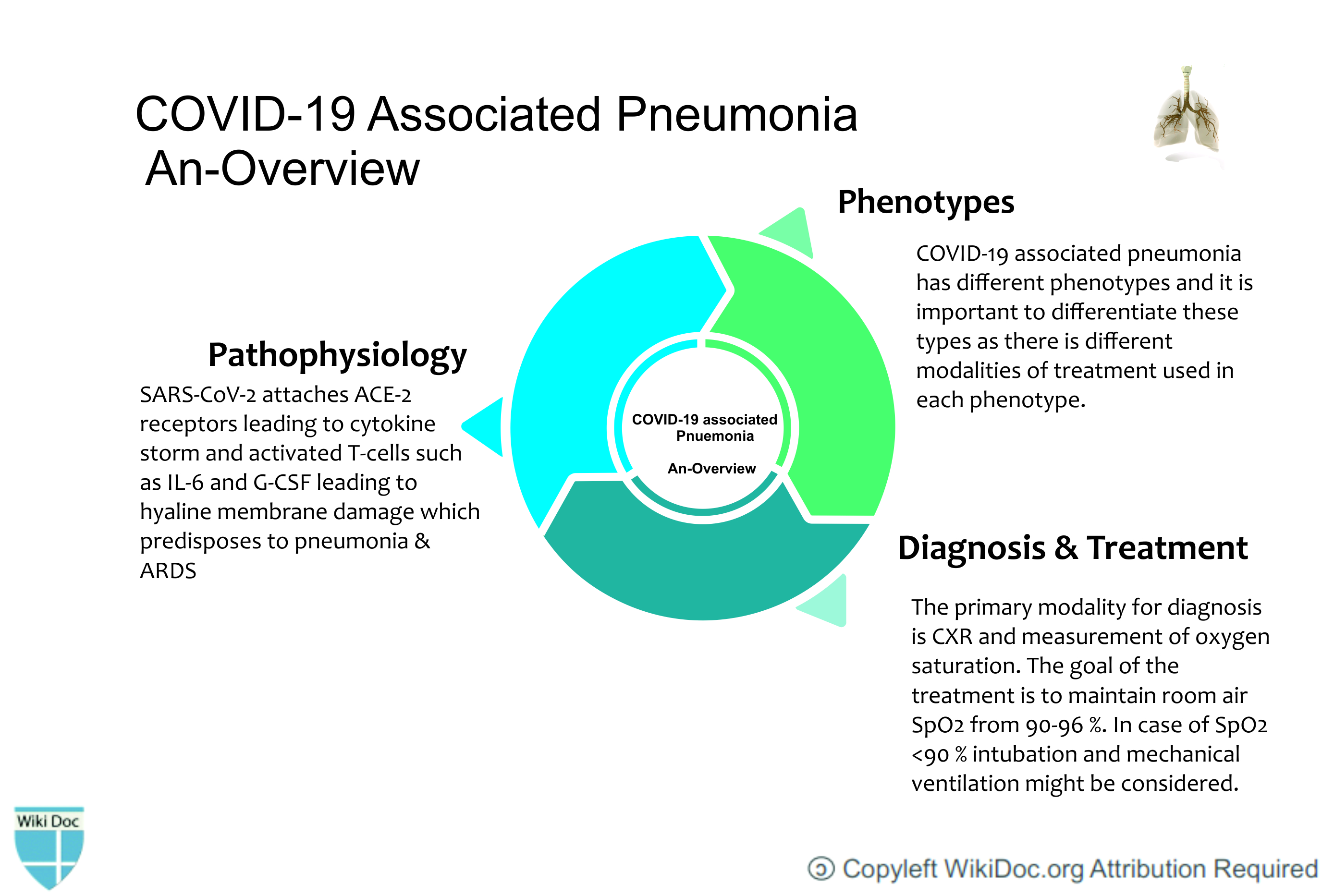 File:Overview-pneumonia.jpg
