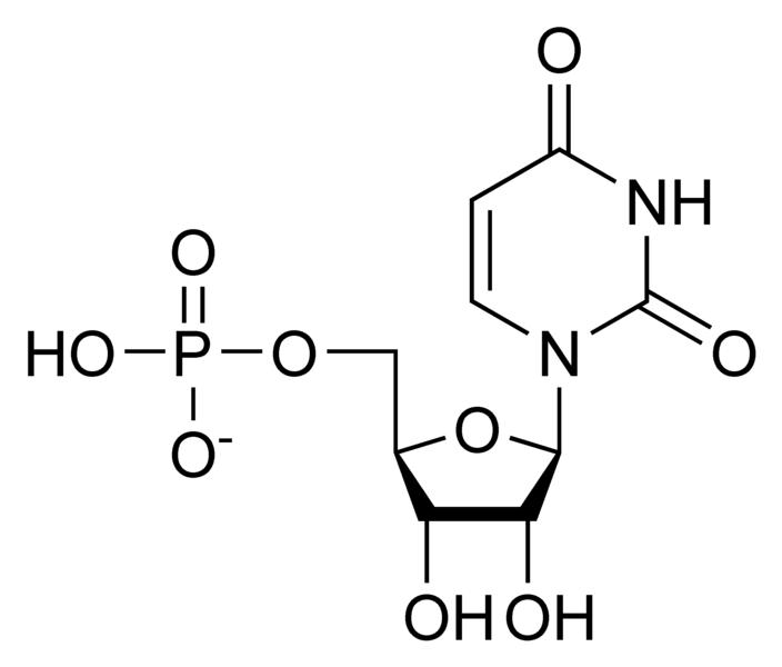 Chemical structure of uridine monophosphate