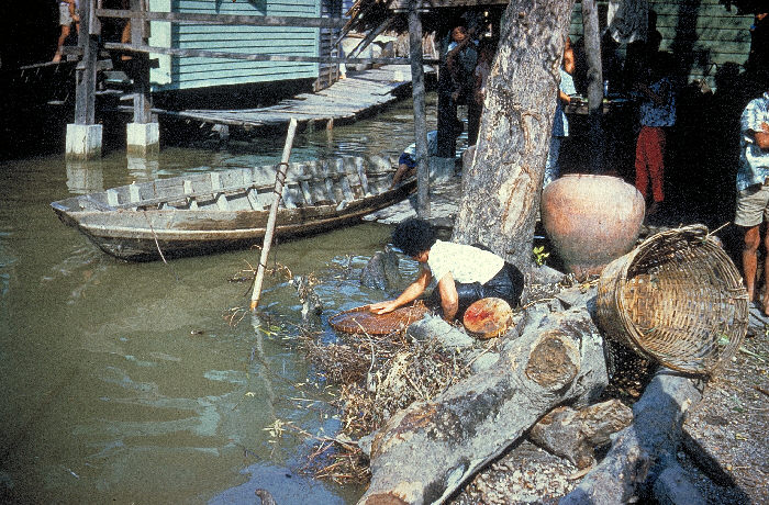 Typical Vibrio cholera contaminated water supply. From Public Health Image Library (PHIL). [3]