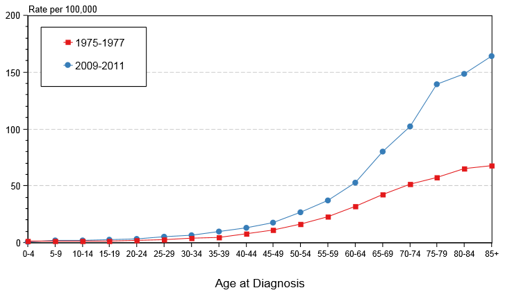 Incidence of non Hodgkin lymphoma by the age of diagnosis in males, USA.PNG
