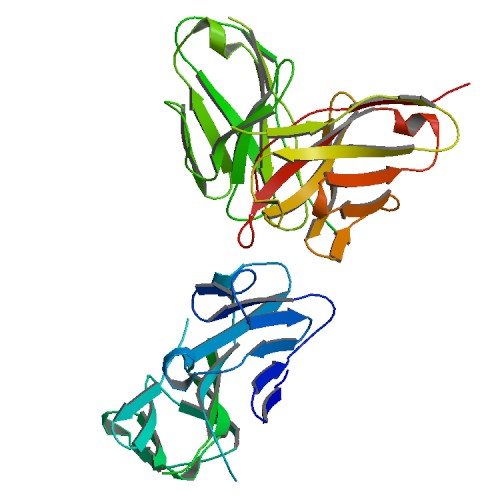 PBB Protein CD3E image.jpg