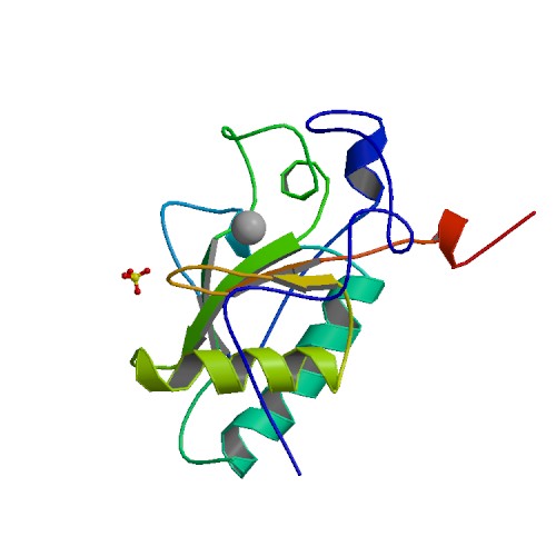 File:PBB Protein IHH image.jpg