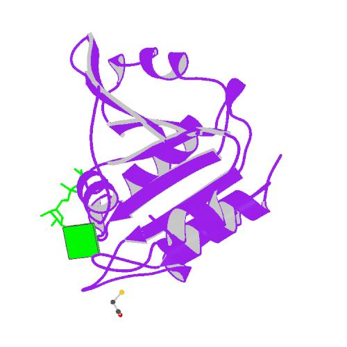 File:PBB Protein ARF6 image.jpg