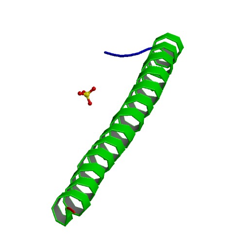 File:PBB Protein APC image.jpg
