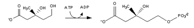 File:Cholesterol-Synthesis-Reaction3.png