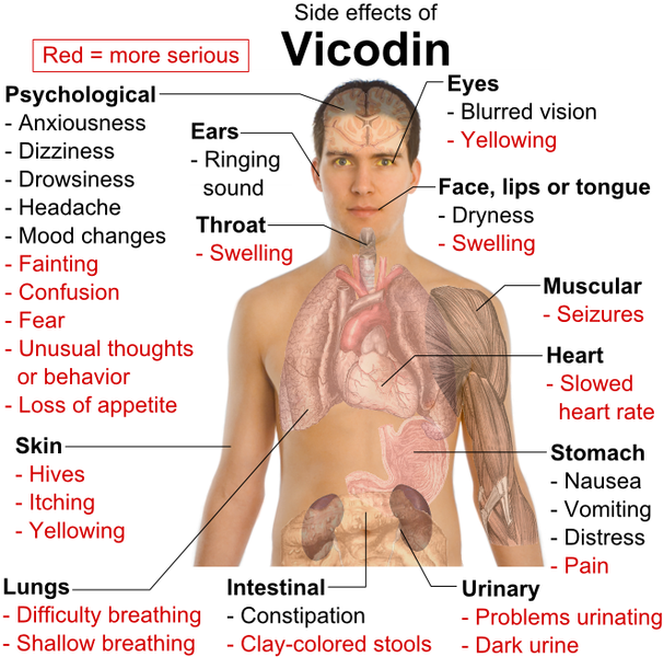 File:Side effects of Vicodin.png