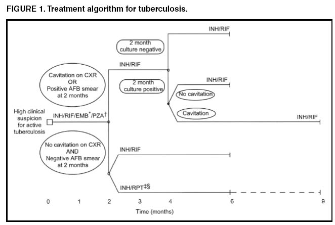 Treatment algorithm tuberculosis