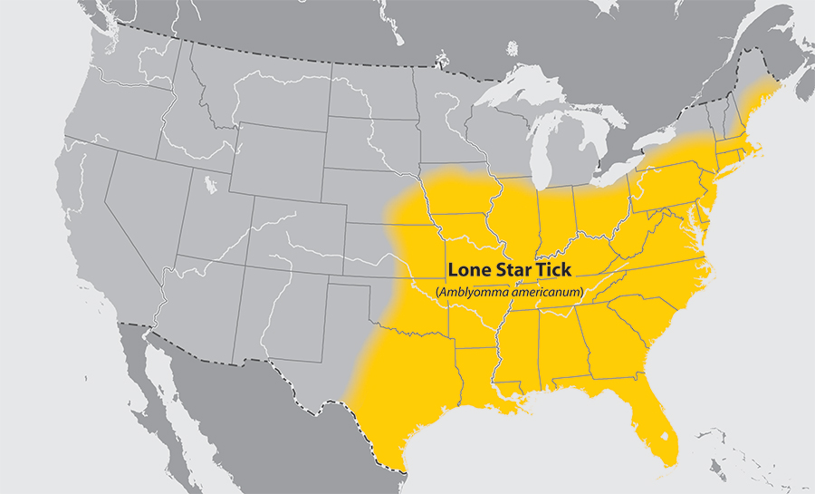 Approximate distribution of the lone star tick Adapted from CDC