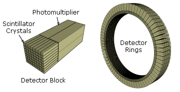 Schematic view of a detector block and ring of a PET scanner (here: Siemens ECAT Exact HR+)